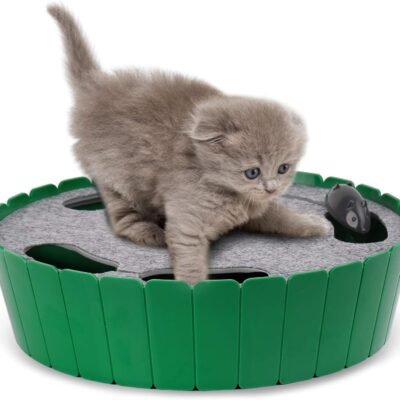 Interactive Cat Toy with Running Mouse, Electronic Motion Cat Toy Automatic Teaser for Indoor Cats, Pop and Play Hide Seek Cat Toy Hunting Mouse for Pet Cat Kitten Play Fun Exercise, Green