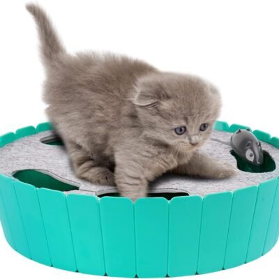 Interactive Cat Toy with Running Mouse, Electronic Motion Cat Toy Automatic Teaser for Indoor Cats, Pop and Play Hide Seek Cat Toy Hunting Mouse for Pet Cat Kitten Play Fun Exercise, Lake Blue